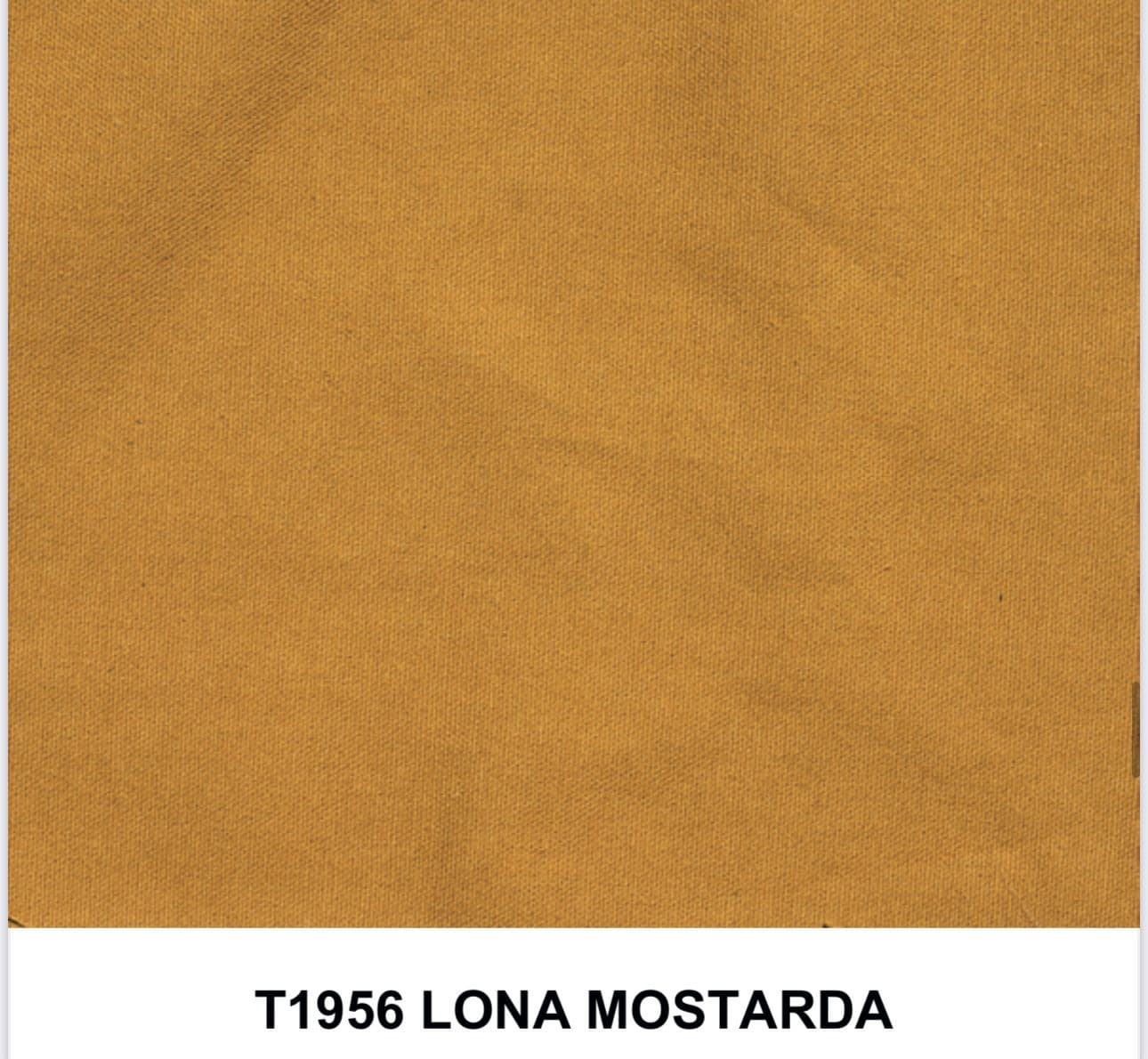 miniatura 12