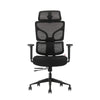 VIGO URBANA  | BLACK EDITION