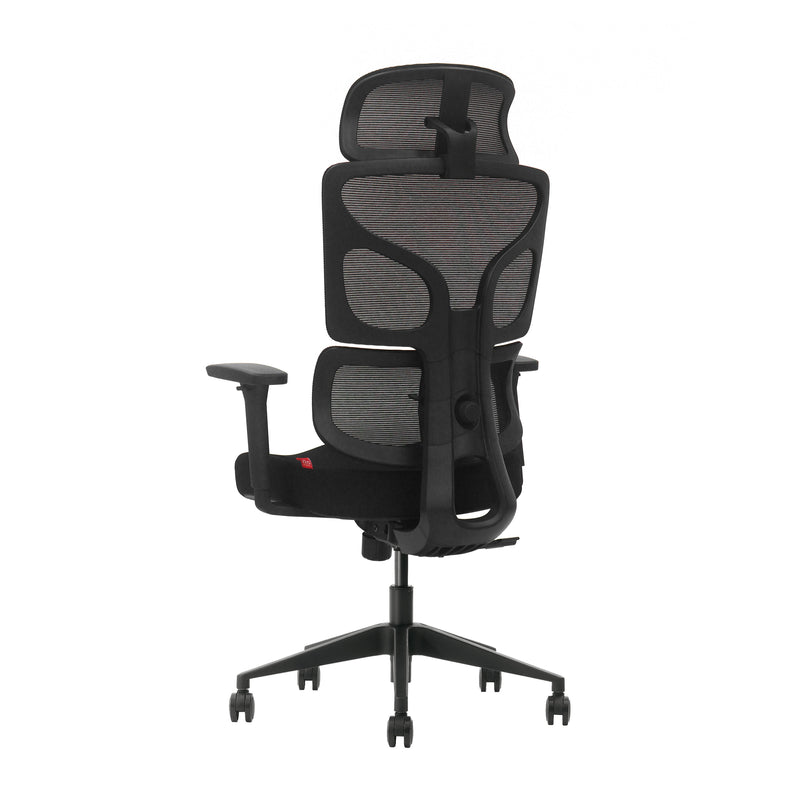 VIGO URBANA  | BLACK EDITION