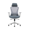 VIGO Apolo Gray Edition