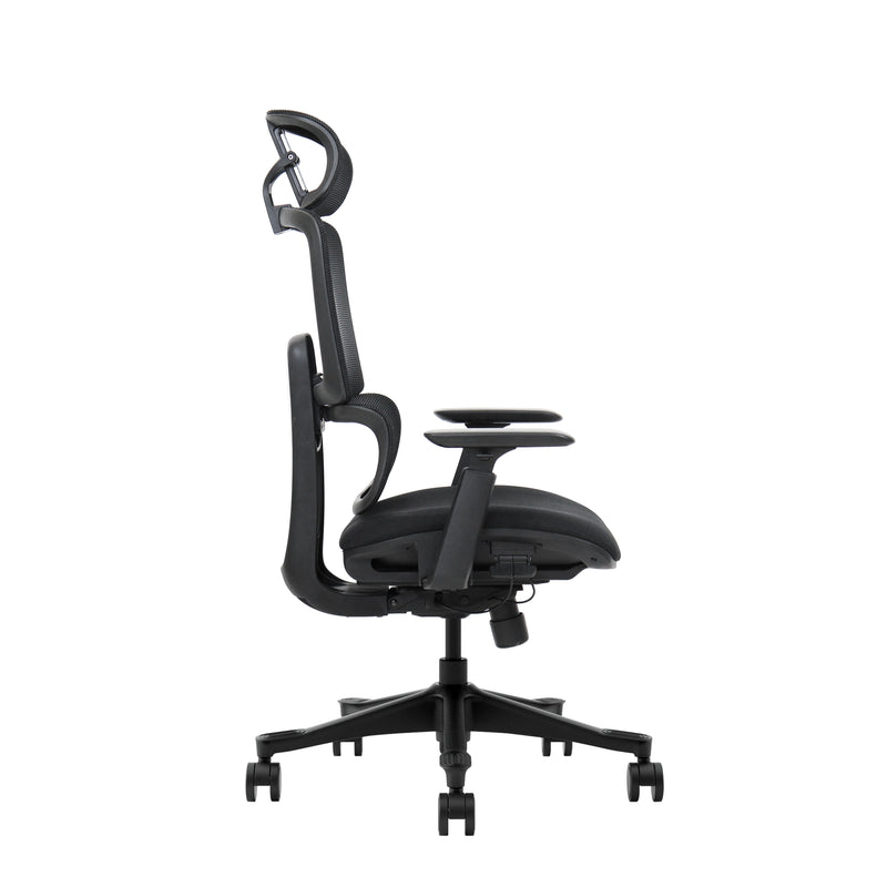 VIGO ARKANA  | BLACK EDITION