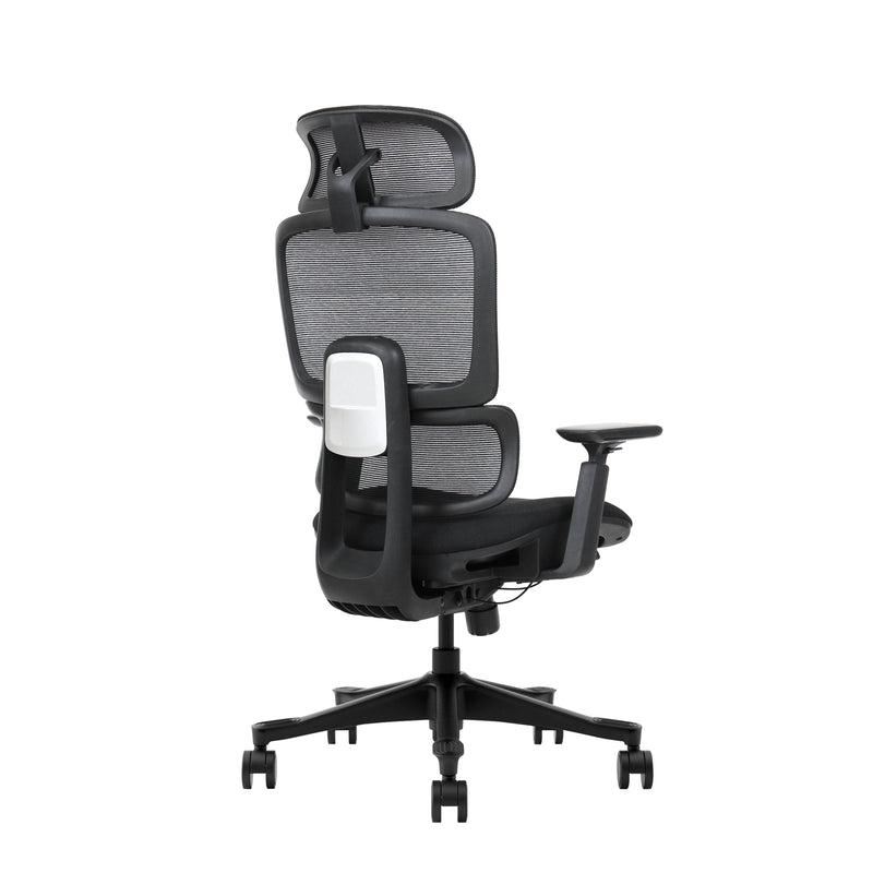 VIGO ARKANA  | BLACK EDITION