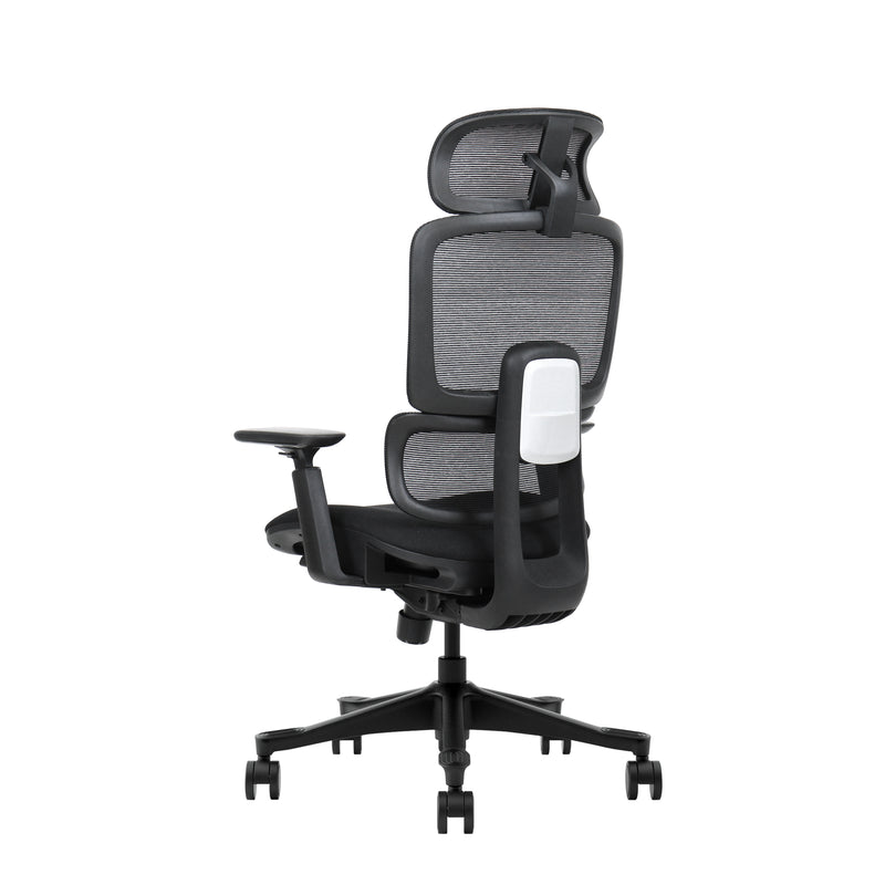 VIGO ARKANA  | BLACK EDITION