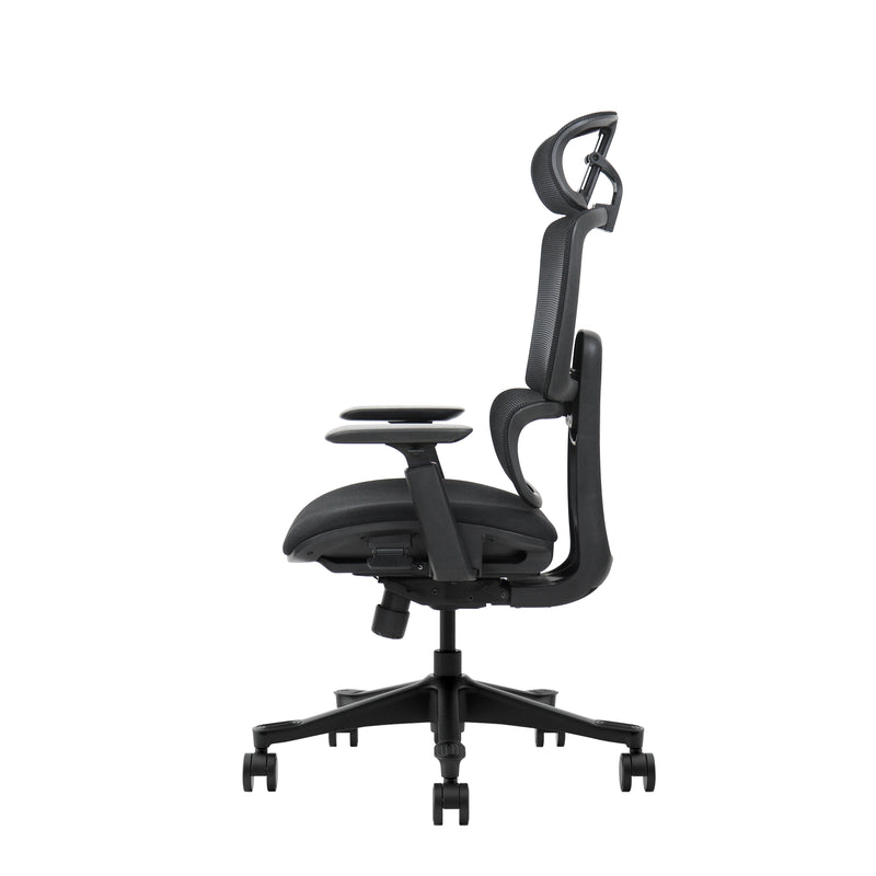 VIGO ARKANA  | BLACK EDITION