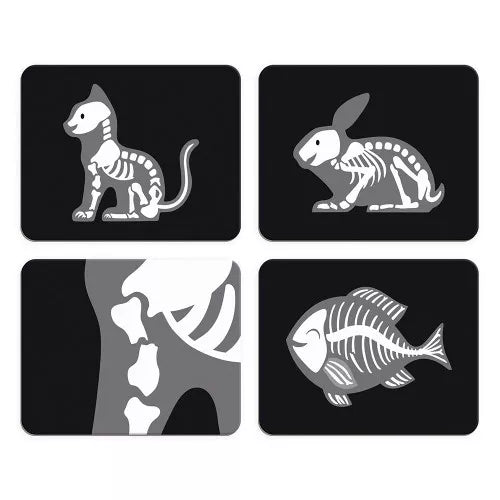 El caso del veterinario | Janod 6466
