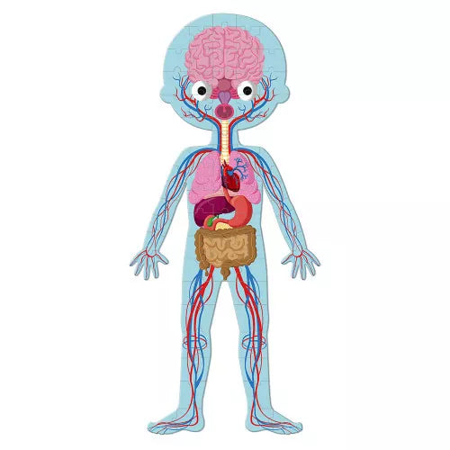 Puzzle Educativo Cuerpo Humano | Janod 2681