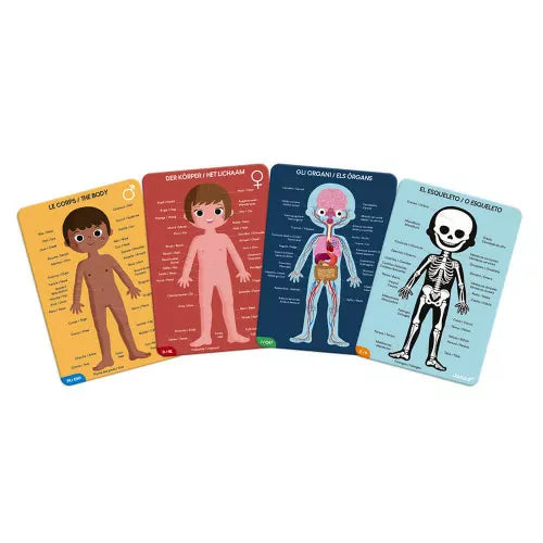 Puzzle Educativo Cuerpo Humano | Janod 2681