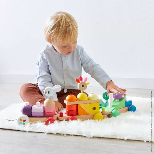 Zigolos Tren Gigante Multicolor +1año | Janod 8202